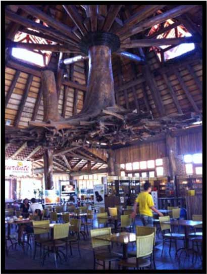 Our first stop was for breakfast at Uncle Ugo's gas station. The restaurant was an incredible structure of wood and logs. An entire tree was uprooted and used for the main beam and we sat in chairs under its roots!